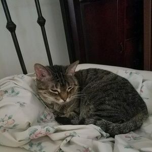 Meet your Posher, Kari